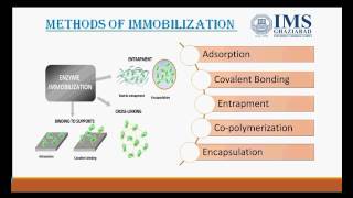 Enzyme immobilization [upl. by Jarus]