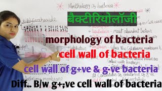 Morphology of Bacteria in hindi  Bacterial Structure  Bacteriology  By Manisha Maam [upl. by Marius]