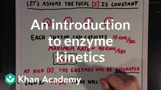 An introduction to enzyme kinetics  Chemical Processes  MCAT  Khan Academy [upl. by Nofets]