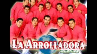 el zorro de ojinaga la arrolladora [upl. by Tezzil]