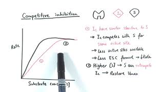 AS Biology  Enzyme inhibition OCR A Chapter 43 [upl. by Arly]