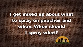 QampA – What should I spray on my peaches and when [upl. by Tamas]