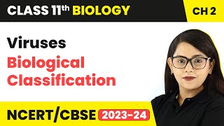 Viruses  Biological Classification  Class 11 Biology Chapter 2  NCERTCBSE [upl. by Smitt]