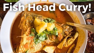 Fish Head Curry in Singapore  Giant Fish Head Amazing Singaporean Food [upl. by Isus]