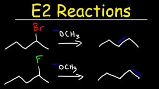 E2 Reaction Mechanism  Hoffman Elimination vs Zaitsevs Rule [upl. by Gleich]