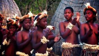 Beautiful Traditional African Zulu Dancing Africa Travel Channel [upl. by Alimak530]