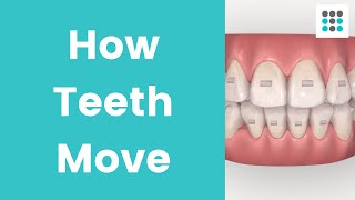 HOW TEETH MOVE WITH ALIGNERS amp BRACES l Dr Melissa Bailey Orthodontist [upl. by Silverstein]