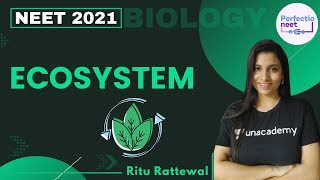 Ecosystem  NEET Biology  NEET 2021  Ritu Rattewal [upl. by Rogerio]