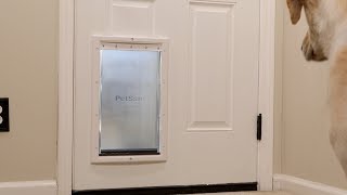 How to Install a Dog Door [upl. by Enileve]