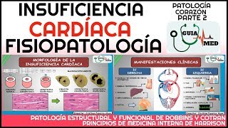 INSUFICIENCIA CARDÍACA FISIOPATOLOGÍA  GuiaMed [upl. by Cameron512]