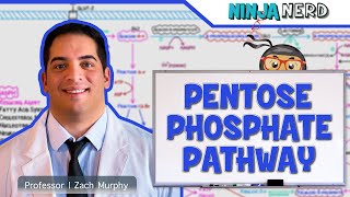 Metabolism  Pentose Phosphate Pathway [upl. by Atinek]