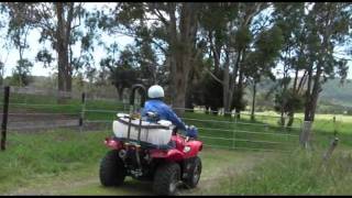 Quadbar ATV Roll bar test [upl. by Garlen]