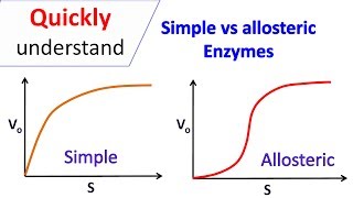 Simple enzymes vs Allosteric enzymes [upl. by Thinia]