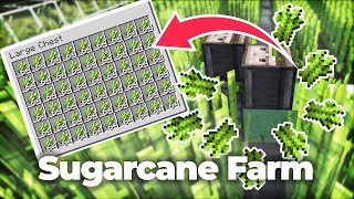 How to Build a Super Efficient Sugarcane Farm in Minecraft [upl. by Llennyl]