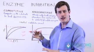 Types of Enzyme Inhibition Competitive vs Noncompetitive  MichaelisMenten Kinetics [upl. by Guevara]