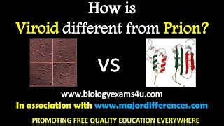 5 Differences between Viroids and Prions Viroids vs Prions in 5 minutes [upl. by Coppins]