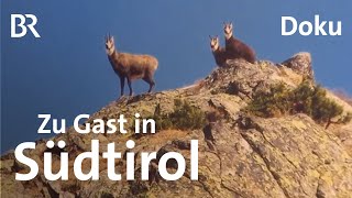 Berggasthöfe und Buschenschänken in Südtirol  Unter unserem Himmel  BR  Doku  Berge [upl. by Dnomal]