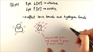 AS Biology  Factors affecting enzyme activity OCR A Chapter 42 [upl. by Anivek]