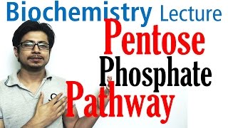 Pentose phosphate pathway [upl. by Aisinut]