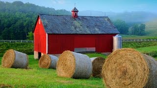 Heres why barns are painted red [upl. by Ecnerrat]