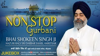 Bhai Shokeen Singh Ji Jukebox Non Stop Gurbani  New Shabad Gurbani Kirtan 2020  Best Records [upl. by Edme]