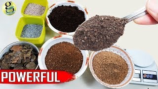 Best DIY Fertilizer Mix Recipe Universal Allpurpose Mixed Fertilizer Powder [upl. by Heath364]