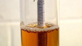 How to Use a Hydrometer for Homebrewing [upl. by Atse]