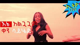 Rahel Getu  Alguaguam  አልጓጓም  New Ethiopian Music 2019 Official Video lyrics HD [upl. by Idnar]