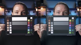 Best LUT for Beginners  Leeming vs FilmConvert vs Buttery [upl. by Nairam]