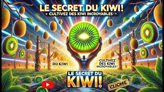 🥝 Culture du Kiwi  De la Plantation à la Récolte  🥝Guide Complet [upl. by Kuster748]