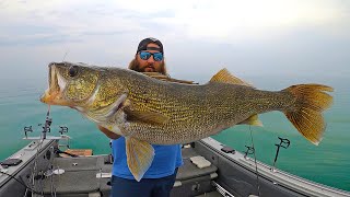 Walleye Fishing Lake Erie CATCH amp COOK  Field Trips with Robert Field [upl. by Yeh554]