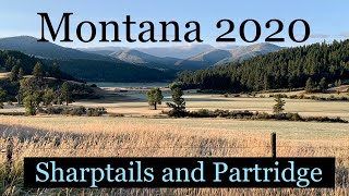 Montana 2020 Sharpies amp Huns part 1 [upl. by Viviana286]