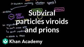 Subviral particles viroids and prions  Cells  MCAT  Khan Academy [upl. by Akered]