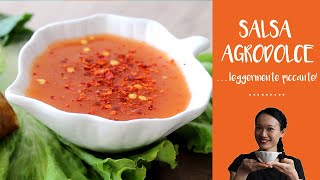 Salsa Agrodolce leggermente piccante [upl. by Stoeber]