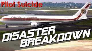 Pilot Suicide  DISASTER BREAKDOWN SilkAir Flight 185 amp EgyptAir Flight 990 [upl. by Rasia]