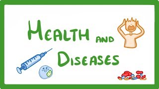 GCSE Biology  Health and Disease 33 [upl. by Nnylimaj362]