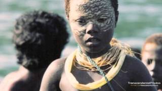 The Last Jarawa  Andaman India [upl. by Haididej]