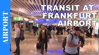 TRANSIT WALK AT FRANKFURT Airport FRA Terminal 1  Connection Flight Transfer Arriving amp Departing [upl. by Arodnap853]