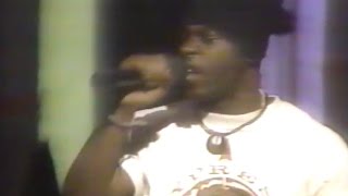 Naughty By Nature  Showtime at The Apollo 1991 [upl. by Oznarol]