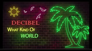 Decibel  What Kind of World [upl. by Nicola529]