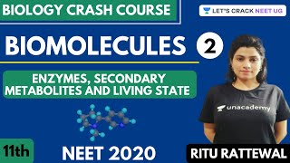 Biomolecules  Enzymes Secondary Metabolites and Living State  Part 2  NEET 2020 [upl. by Crysta356]