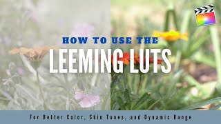 How to use the Leeming LUTs in FCPX  Corrective LUTs for Better Color Skin Tones and Dynamic Range [upl. by Aicella]