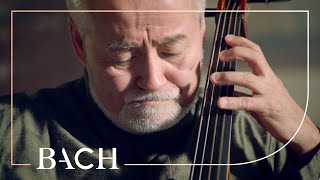 Bach  Cello Suite no 5 in C minor BWV 1011  Suzuki  Netherlands Bach Society [upl. by Noel]