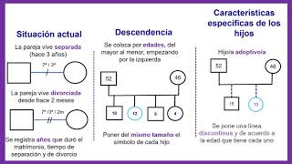 Familiograma [upl. by Anasxor]