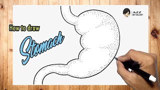 How to draw a Stomach [upl. by Tavish]